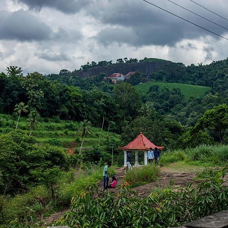 Aruvikuzhy Waterfalls Villa Kozhancheri Esterno foto